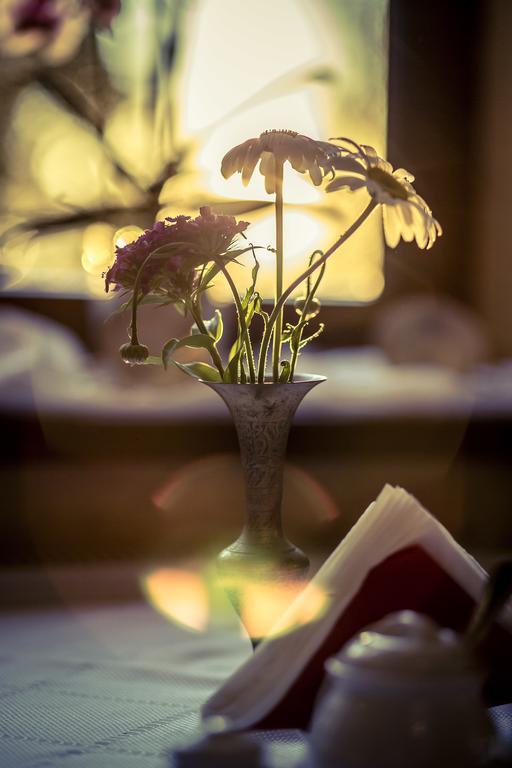 W Starym Mlynie Bed & Breakfast Milicz Dış mekan fotoğraf